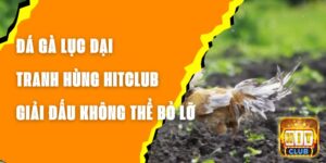 Đá Gà Lục Đại Tranh Hùng Hitclub - Giải Đấu Không Thể Bỏ Lỡ 