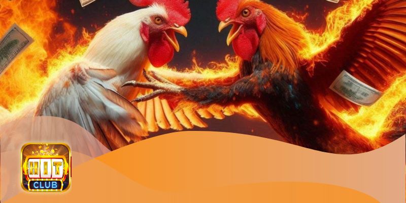 Chọn trận đấu và kèo cược phù hợp