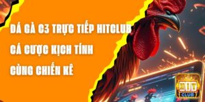 Đá Gà C3 Trực Tiếp Hitclub - Cá Cược Kịch Tính Cùng Chiến Kê