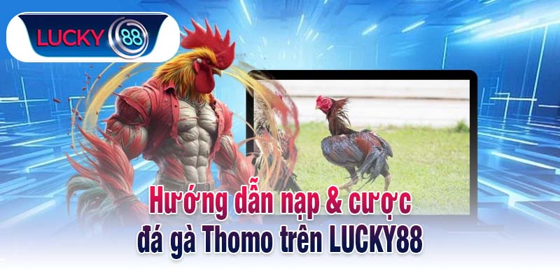 Hướng dẫn nạp & cược đá gà Thomo trên LUCKY88